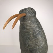 Cover image of Walrus Head